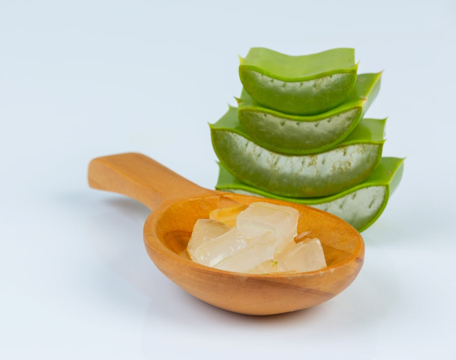 Aloe Vera: Nature’s Miracle Plants with Countless Benefits
